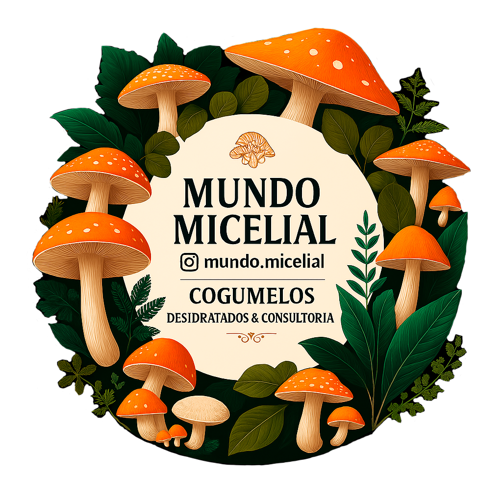 SF logo mundo micelial (IT)