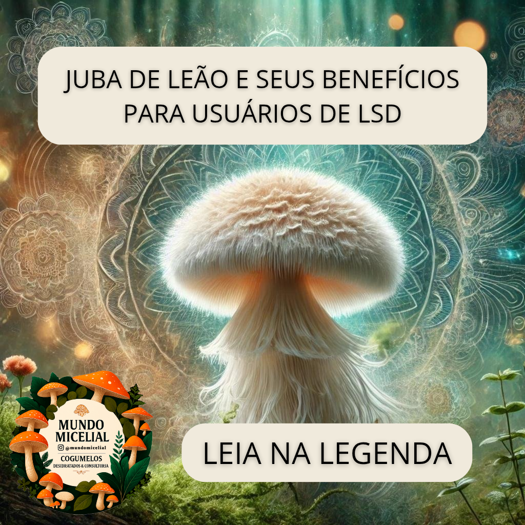 1000256328.png