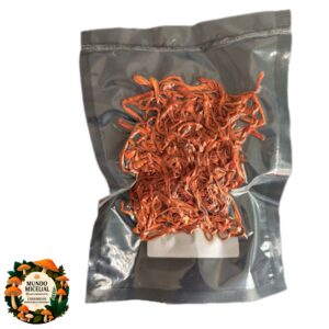 Amostra taxonômica de cogumelo desidratado Cordyceps militaris